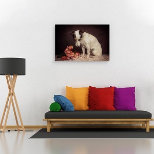 Tablou canvas - Pe Masura Ce Trece Timpul, Caini, Studio, Animale, Trandafiri, 60 x 90 cm - Img 2