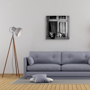 Tablou canvas - Pereche, Pisici, Pereche, Duo, Cuplu, 60 x 60 cm - Img 2