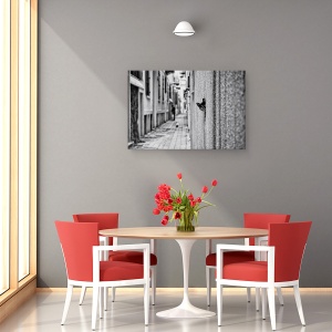Tablou canvas - Pet, Pisica, Pet, Strada, Distractie, Amuzant, 80 x 120 cm - Img 4