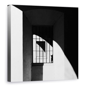 Tablou canvas - Pisica Neagra, Grafic, Alb-Negru, Fereastra, Contrast, Umbra, 60 x 60 cm