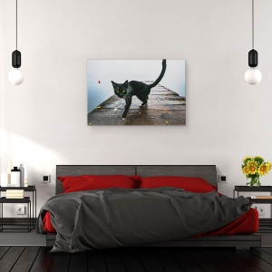 Tablou canvas - Pisicuta, Animal, Pisica, Animale, Pisici, Pet, 40 x 60 cm - Img 3