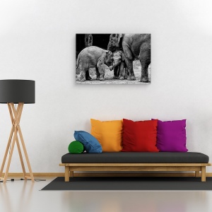 Tablou canvas - Prieteni pe viata, Nature, Elefant, Prieteni, intalnire, 80 x 120 cm - Img 2