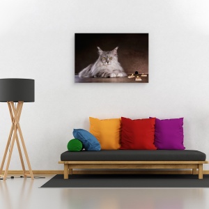 Tablou canvas - Prinde-Ma Daca Poti, Soarece, Amuzant, Umor, Pisica, Pet, 40 x 60 cm - Img 2