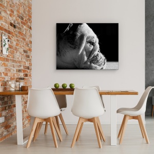 Tablou canvas - Printre Riduri, Caine, Pet, Animale De Companie, Canin, Bulldog, 50 x 70 cm - Img 4