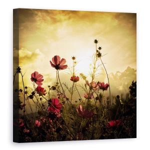 Tablou canvas - Privind Soarele, Floare, Camp, Soare, Rosu, Peisaj, 90 x 90 cm