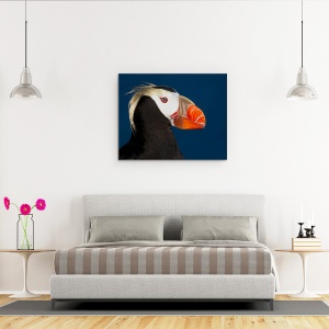 Tablou canvas - Puffin Smocuri, Salbatic, St Paul, Insula, Rusia, 60 x 75 cm - Img 3