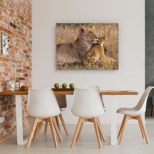 Tablou canvas - Pui De Leu Cu Mama Sa, Leoaica, Copil, Cub, 60 x 80 cm - Img 4