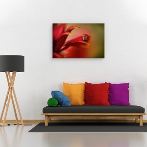 Tablou canvas - Pur si Simplu Rosu, Rosu, Gargarita, Pasiune, Floare, 80 x 120 cm - Img 2