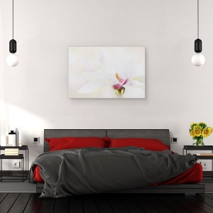 Tablou canvas - Puritate, Magnolie, Alb, Flora, Macro, 80 x 120 cm - Img 3