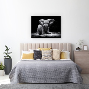 Tablou canvas - Putere, Elefant, Apa, Intuneric, Animal, Big, 50 x 70 cm - Img 3