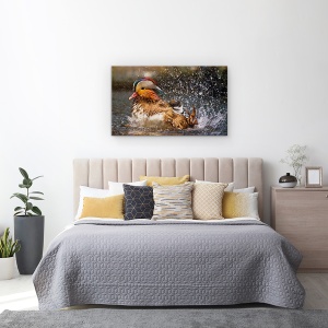 Tablou canvas - Rata Mandarina, Pasare, Ud, Strop, 50 x 80 cm - Img 3