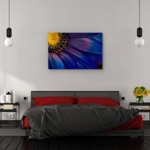 Tablou canvas - Raze albastre, Flori, Islanda, Violet, Petala, 80 x 120 cm - Img 3