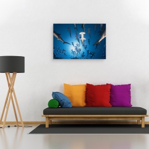 Tablou canvas - Rechinul Ciocan, Rechin, Sub Apa, Ciocan, Fauna, Scufundare, Scufundari, 80 x 120 cm - Img 2