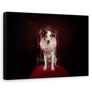 Tablou canvas - Regina De Gheata, Caini, Animale, Caine, Medieval, Rosu, 40 x 60 cm