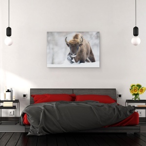 Tablou canvas - Rewilded, Bizon, Iarna, Salbatic, Natura, 80 x 120 cm - Img 3