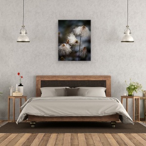 Tablou canvas - Rochia Cea Noua, Canada, Bumbac, Flori De Bumbac, Floare, 60 x 75 cm - Img 3