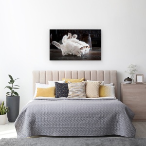 Tablou canvas - Sa Fie Lapte, Pisica, Birman, Mananca, 50 x 80 cm - Img 3
