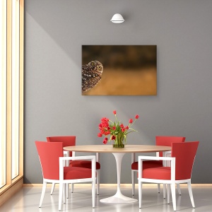 Tablou canvas - Salut, Bufnita, Dragut, Animal, Pasare, Florida, 40 x 60 cm - Img 4