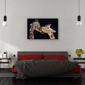 Tablou canvas - Sarutul, Animal, Girafa, Sarut, imbratisare, 40 x 60 cm - Img 3