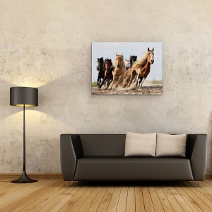 Tablou Canvas - Sasele Norocos, Cal, Actiune, Animale, Putere, Viteza, 60 x 80 cm - Img 2