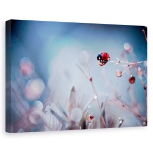 Tablou canvas - Scufundari in adanc, Flori, Albastru, Gradina, Echilibru, 60 x 90 cm