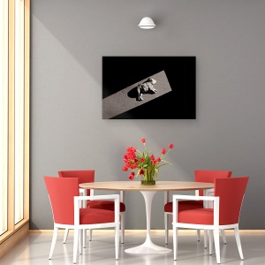 Tablou canvas - Solar Nealimentat, Catelus, Lumina, Umbre, Bulldog, Pet, 40 x 60 cm - Img 4