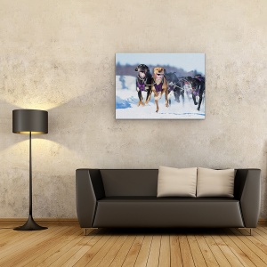 Tablou canvas - Sportivii, Actiune, Caini, Zapada, Iarna, 75 x 100 cm - Img 2