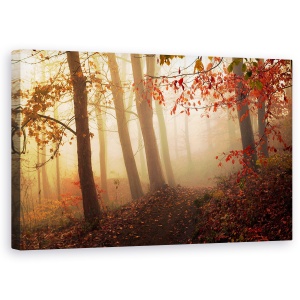 Tablou canvas - Spre Lumina, Padure, Danemarca, Skive, Rosu, Padure, 50 x 80 cm