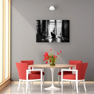 Tablou canvas - Strada Nr. 10, Pisica, Strada, Animal, 60 x 90 cm - Img 4
