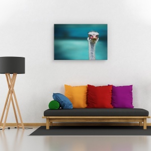 Tablou canvas - Strut protejandu-si puii de vant, Animal, Humor, Turcoaz, 40 x 60 cm - Img 2