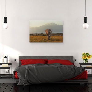 Tablou canvas - Sub Cerul Africii, Elefant, Pasari, Munte, Salbatic, 40 x 60 cm - Img 3
