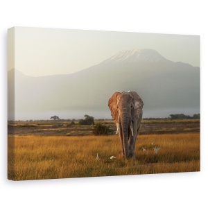Tablou canvas - Sub Cerul Africii, Elefant, Pasari, Munte, Salbatic, 60 x 90 cm