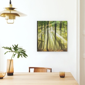 Tablou canvas - Sunny Incepe Ziua, Peisaj, Vara, Padure, Padure, Lumina, 60 x 60 cm - Img 4