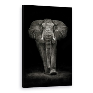 Tablou canvas - Taurul Ngorongoro, Africa, Elefant, Safari, Maiestuos, 60 x 90 cm