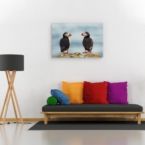 Tablou canvas - Te Iubesc - Si Eu Te Iubesc, Islanda, Pasari, Natura, Puffin, Puffin, 60 x 90 cm - Img 2