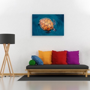 Tablou canvas - Testoasa, Sub Apa, Mare, Ocean, Salbatic, 60 x 90 cm - Img 2