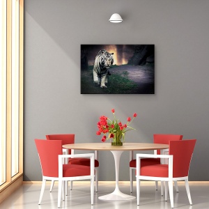 Tablou canvas - Tigru alb, Orase si arhitectura, Zoo, 80 x 120 cm - Img 4