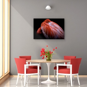 Tablou canvas - Timiditate, Animal, Flamingo, Roz, Pasare, 40 x 60 cm - Img 4