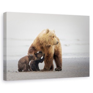 Tablou canvas - Timp pentru familie, Nature, Urs, Alaska, Hranire, 60 x 90 cm
