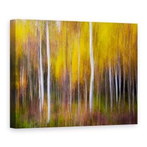 Tablou canvas - Toamna Abstracta, Copaci, Padure, 75 x 100 cm