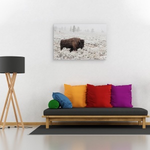 Tablou canvas - Toamna Tarzie In Yellowstone, Bizon, Parc National, Salbatic, 80 x 120 cm - Img 2