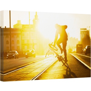 Tablou canvas - Truc Cu Bicicleta, Bmx, Sport, Soare, 80 x 120 cm