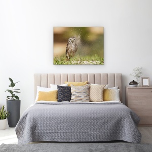 Tablou canvas - Ultima Lumina Din Cuib, Bufnita, Dragut, Salbatic, 50 x 70 cm - Img 3