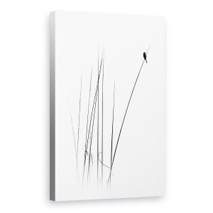 Tablou canvas - Un Concediu Sabatic, Grafic, Pasare, Simplu, Minimalism, 60 x 90 cm