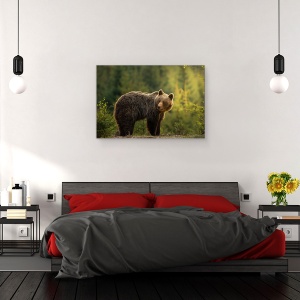 Tablou canvas - Urs, Urs, Fauna, Salbatic, Padure, Urs, Slovacia, 60 x 90 cm - Img 3