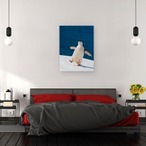 Tablou canvas - Viata E Frumoasa, Natura, Zapada, Albastru, Pinguin, Antarctica, 75 x 100 cm - Img 3