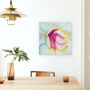Tablou canvas - Viata In Roz, Floare, Trandafir, Petala, 60 x 60 cm - Img 4