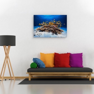 Tablou canvas - Viata marina, Animal, Recif, Coral, Pesti, 80 x 120 cm - Img 2