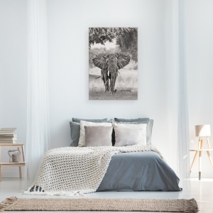 Tablou canvas - Vin, Elefant, Elefanti, Alb-Negru, Africa, Salbatic, 40 x 60 cm - Img 3