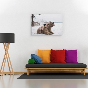 Tablou canvas - Vis, Fata, Vis, Urs, Natura, Rusia, 60 x 90 cm - Img 2